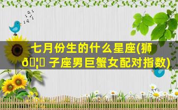七月份生的什么星座(狮 🦈 子座男巨蟹女配对指数)